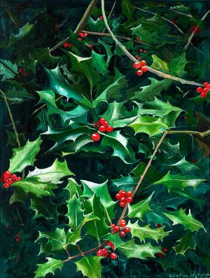holly